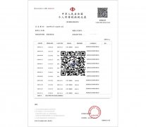 上海个人所得税完税证网上打印操作指南说明